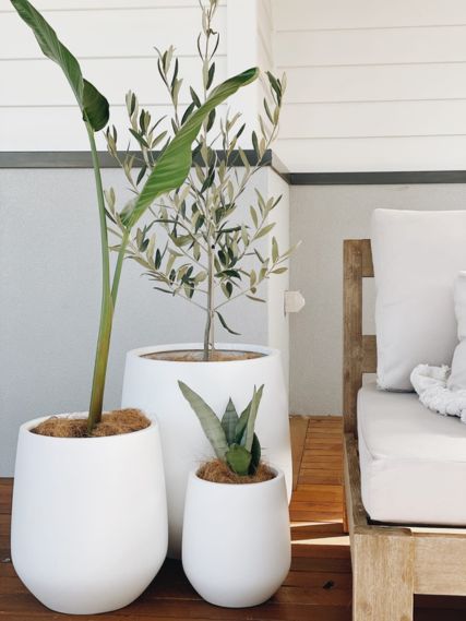 Assortment of elegant white Slugg's plant pots with various plants, perfectly complementing a serene outdoor lounge setting with a cozy armchair