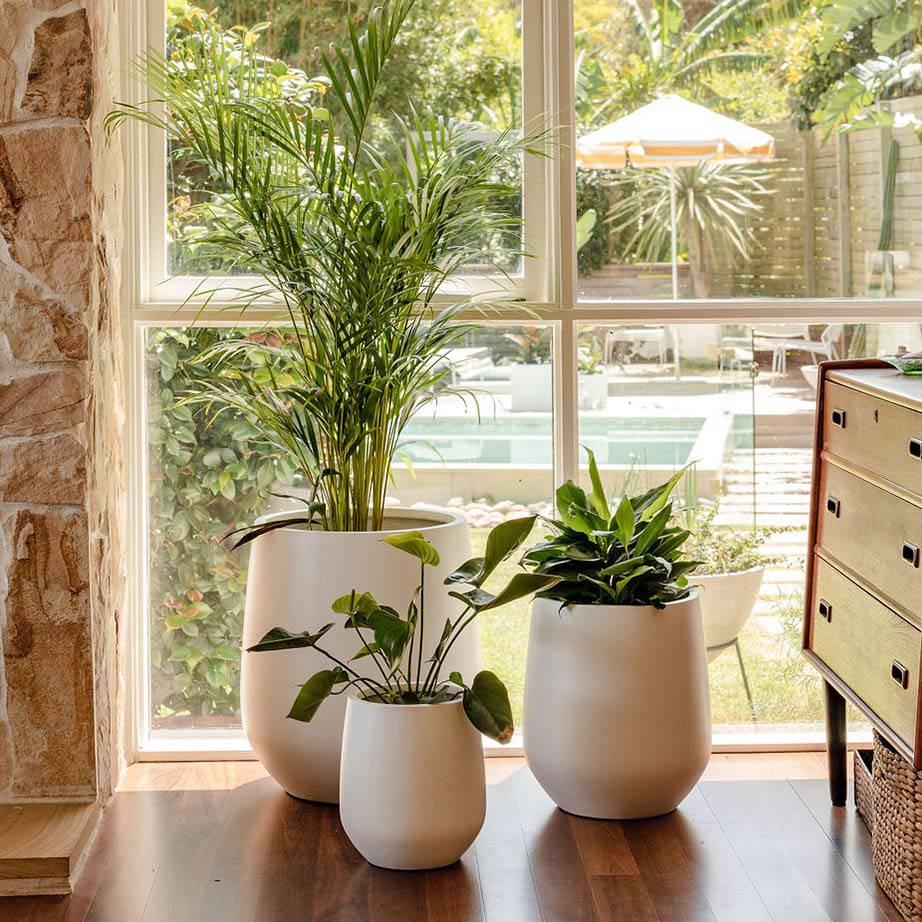 A cluster of three white Lucy Pots set in front of a large glass window looking out onto a landscaped garden and pool area.
