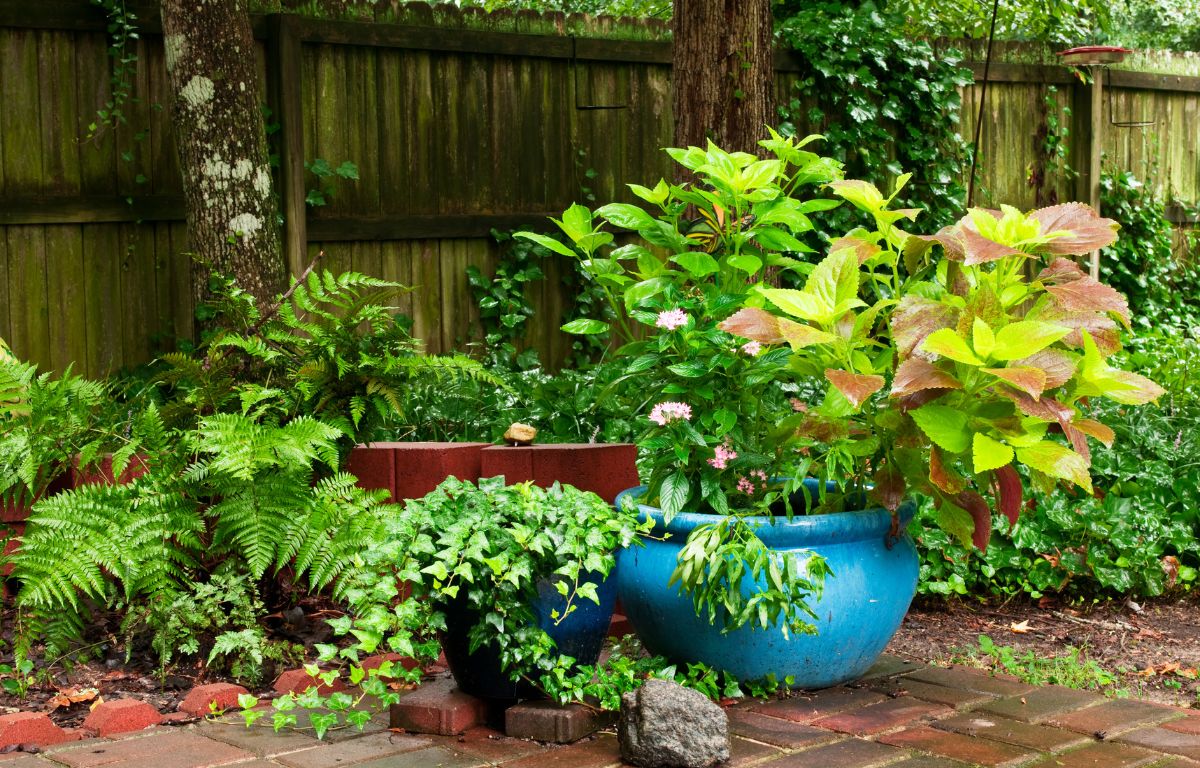 5 Expert Tips for Refreshing Your Outdoor Oasis this Spring