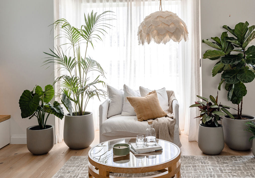 Green Beauties for Miami Homes: Top 10 Best Indoor Plants Guide